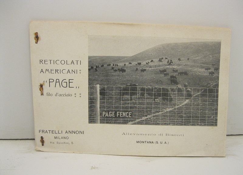 Reticolati americani Page in filo d'acciaio. Fratelli Annoni, Milano
